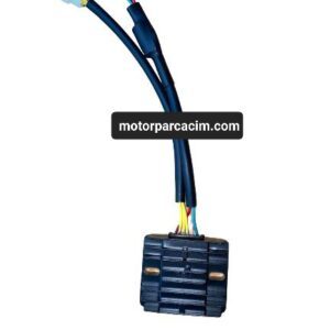 YUKİ AFŞİN 250 KONJEKTÖR