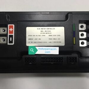 KRAL KELVİN CDİ BEYİN