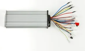 YUKİ LOTUS BEYİN (ORJİNAL)